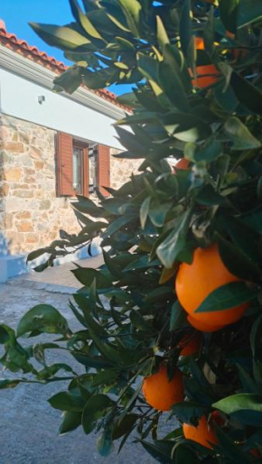 Nafplio Village